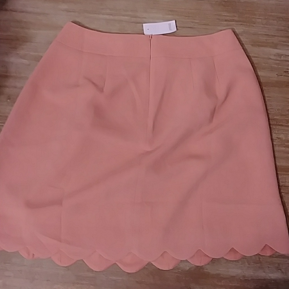 Loft Pink Skirt - Picture 4 of 4